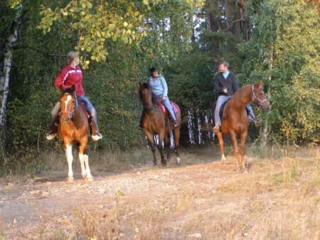 Projížďka babím létem