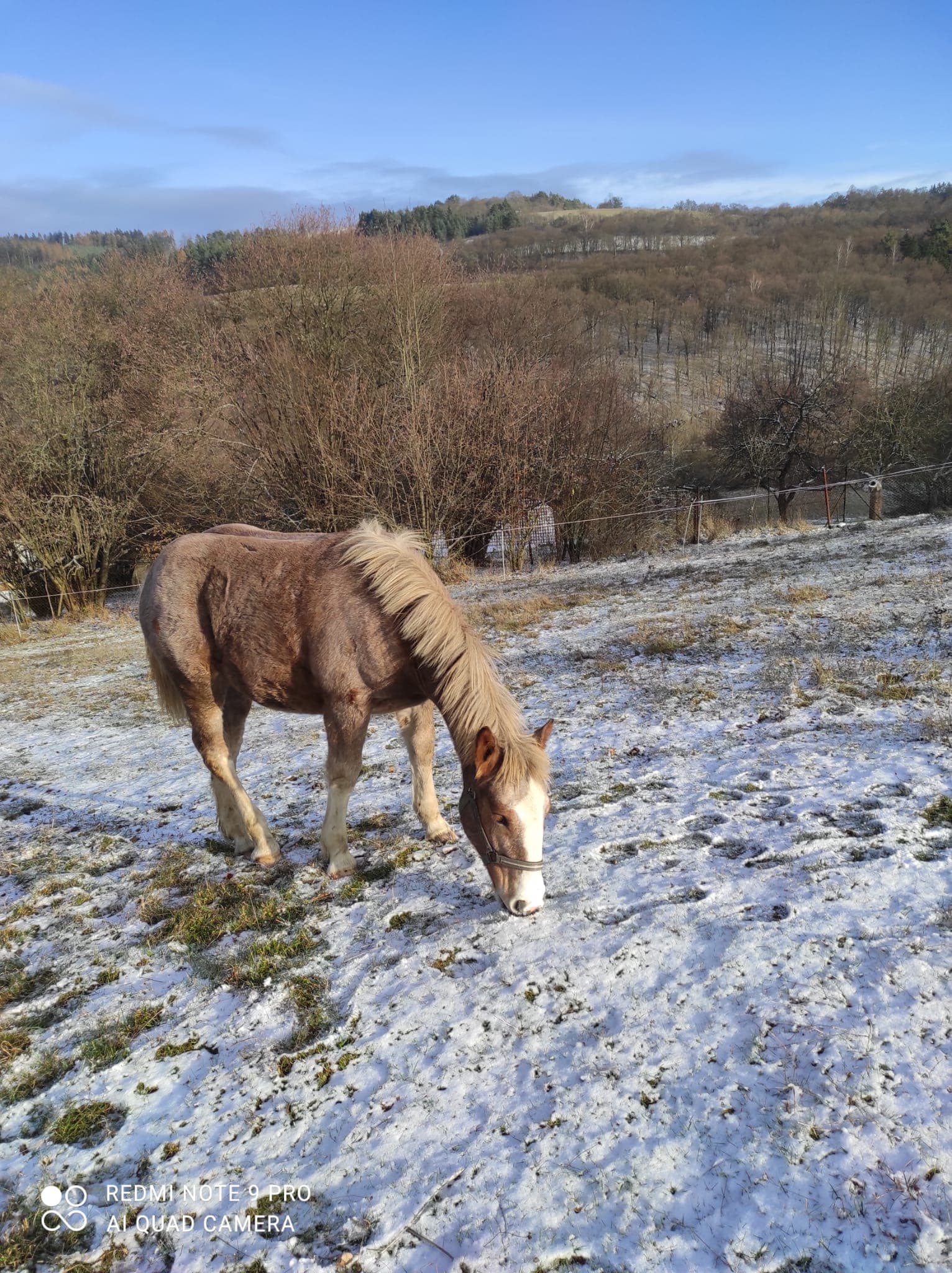Samira a první sníh